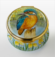 Kingfisher