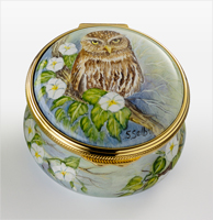 Little Owl