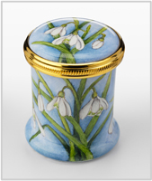 Snowdrops