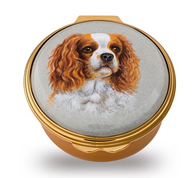 Halcyon Days Cavalier King Charles Halcyon Days - Dog - Cavalier King Charles