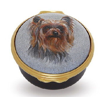 Dog - Yorkshire Terrier