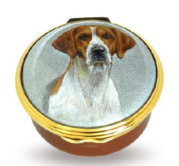 Dog - English Foxhound