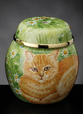 Ginger Cat